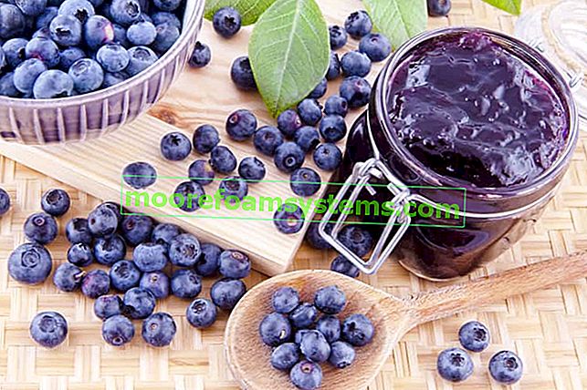 Džem od borovnica - provjereni recepti korak po korak