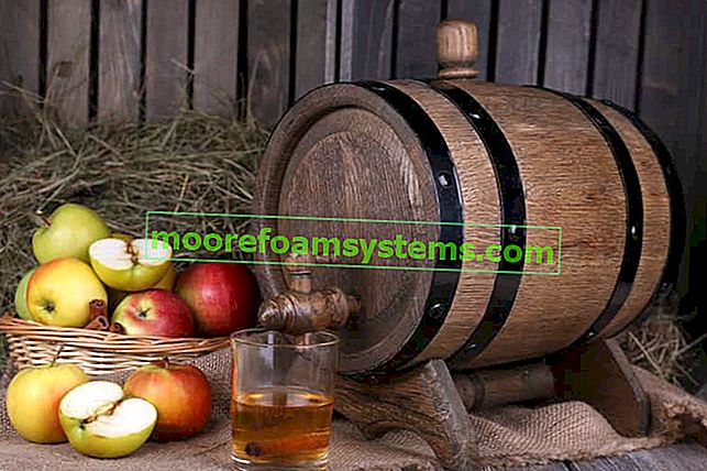 Vino od jabuka - provjereni recepti za spravljanje domaćeg vina od jabuka