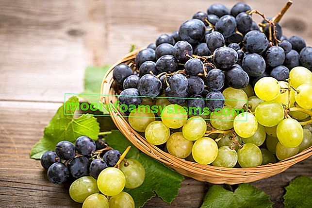 Kako napraviti vino od grožđa - Praktični vodič i korak po korak recept 2