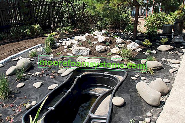 Изграждане на езерце в градината, както и пластмасови езерца и форма за езерце,