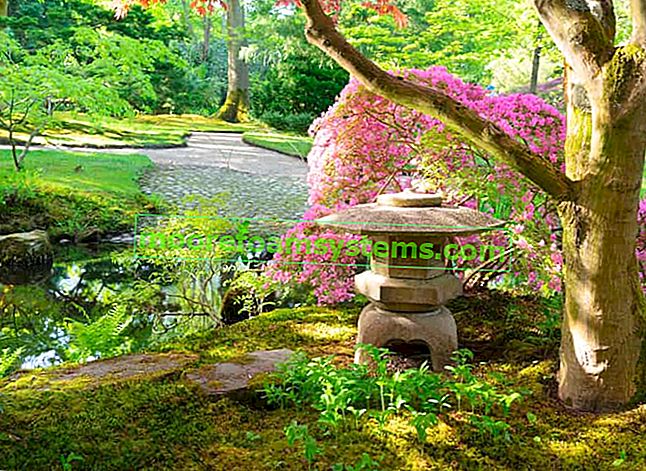 Вашата собствена японска градина?  Вижте как да го поставите стъпка по стъпка