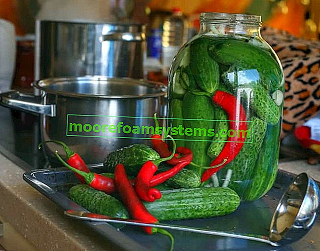 Cetrioli con peperoncino - ricette collaudate per sottaceti in salamoia e con additivi