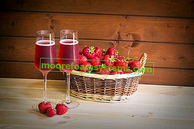 Ягодово вино - поетапно доказани рецепти за ягодово вино