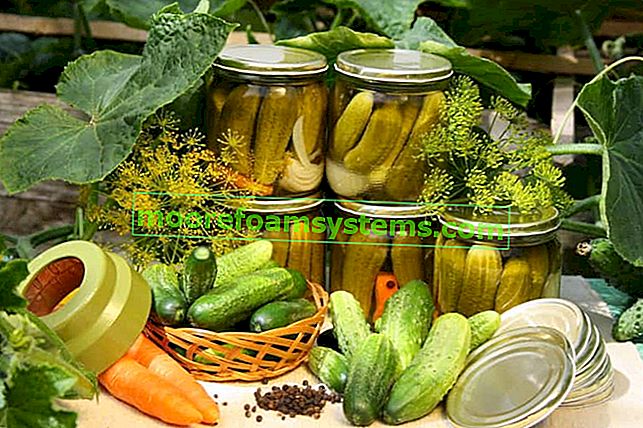 Vložene kumare v kozarcih - preverjeni recepti za okusne vložene kumare