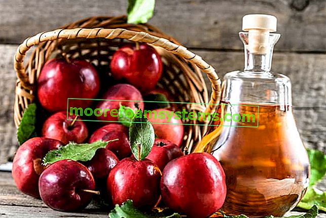 Vin de pomme - recettes éprouvées pour faire du vin de pomme maison