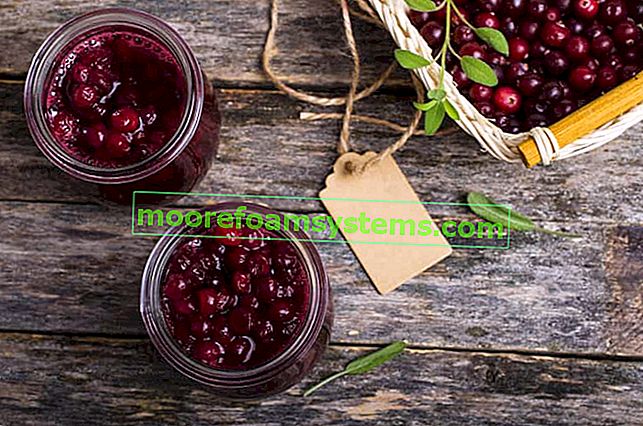 Cranberry-Konfitüren - die besten Rezepte, die Sie ganz einfach zu Hause machen können