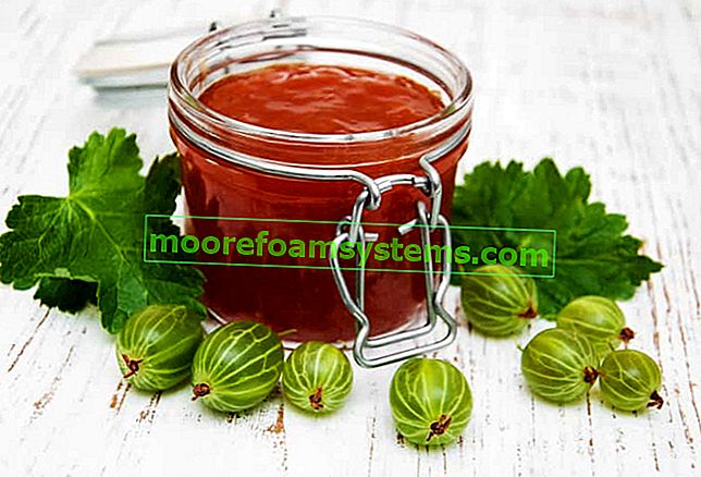 Stachelbeermarmelade - die besten Rezepte für die Herstellung von Marmelade, Marmelade und Stachelbeermarmelade
