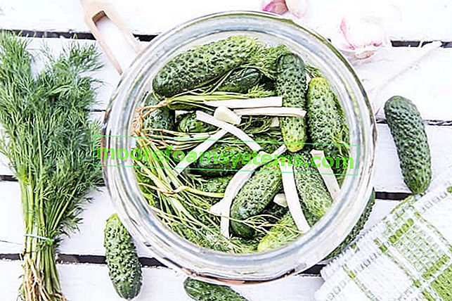 Краставици с ниско съдържание на сол - доказани рецепти за вкусни краставици с ниско съдържание на сол