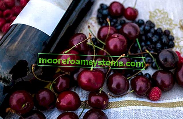 Češnjevo vino - preizkušeni recepti, kako pripraviti vino korak za korakom