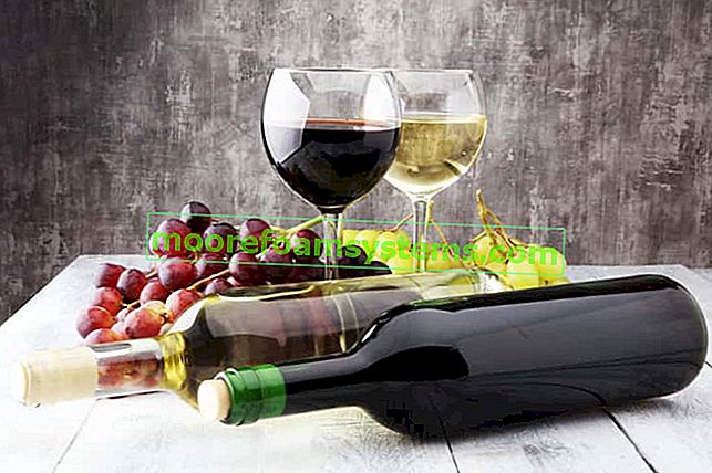 Házi bor világos és sötét szőlőből