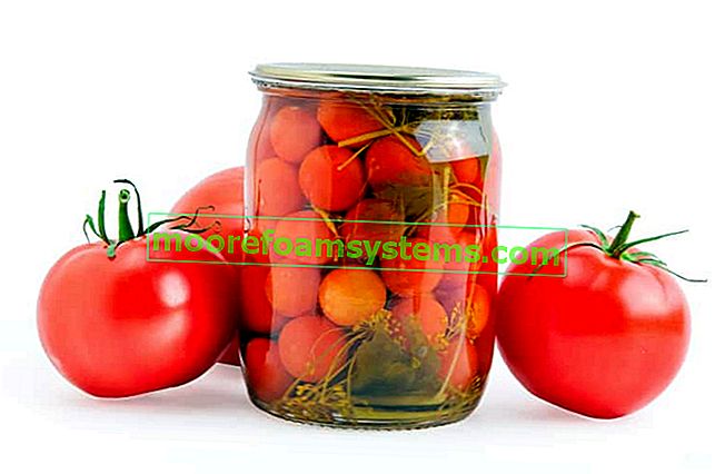 Conserves de tomates cerises - voir les meilleures recettes de conserves pour l'hiver