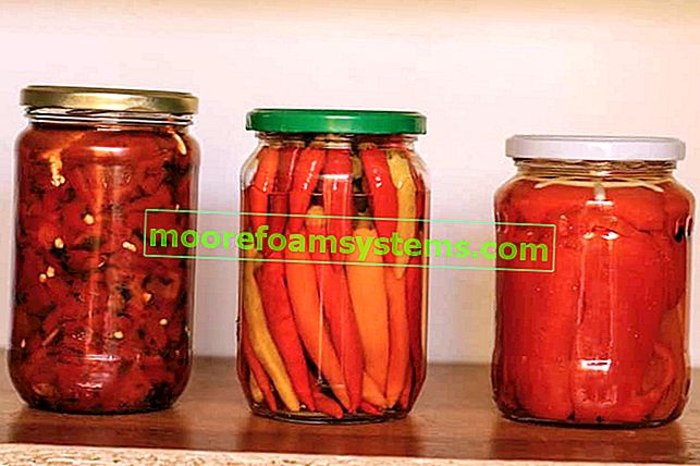 Nakládané papriky - osvědčený recept na konzervování papriky krok za krokem