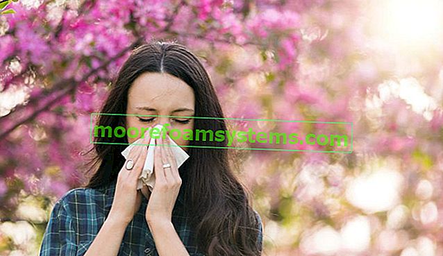 Žena kýchající na pozadí rozkvetlého stromu a pylový kalendář pro alergiky, včetně opylování trávy