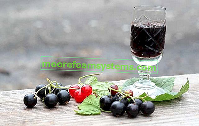 Вино от касис - доказани рецепти за домашно вино от касис