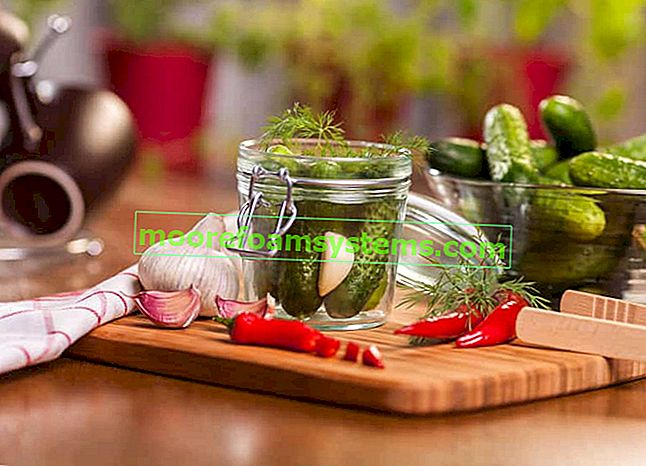 Консерви от смлени краставици - доказани стъпка по стъпка рецепти