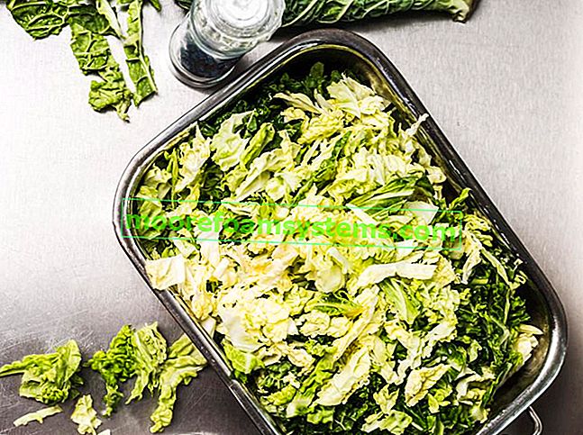Nastrouhané savojské zelí a podrobný recept na savojský zelný salát