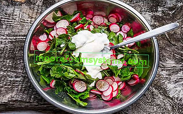 Zelena salata s vrhnjem za večeru - 5 provjerenih recepata