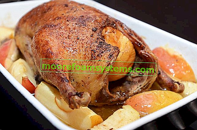 Pečena patka s jabukama, kao i marinada od patke i recepti za nju