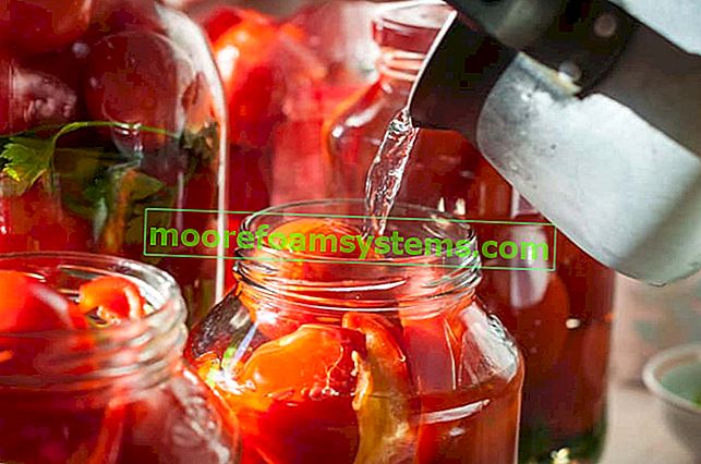 Jak vyrobit rajčata ve sklenicích na zimu?  Tady jsou 3 praktické způsoby