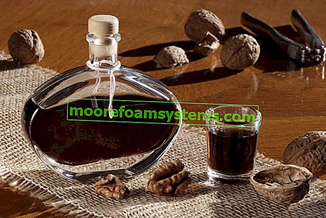 Настойка грецкого ореха - проверенные рецепты спирта, свойства, советы