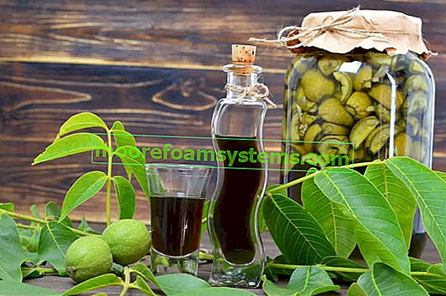Настойка грецкого ореха - проверенные рецепты спирта, свойства, советы