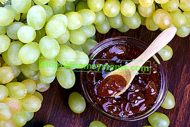 Conserves de raisin - recettes éprouvées pour la confiture et la confiture de raisin