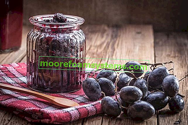 Conserves de raisin - recettes éprouvées pour la confiture et la confiture de raisin