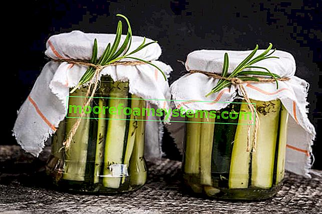 Zucchini konzerve - preizkušeni recepti za slastne konzerve za kozarce za zimo