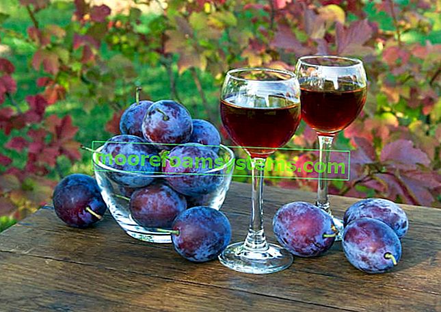 Szilvabor - bevált receptek, hogyan lehet szilva bort készíteni lépésről lépésre