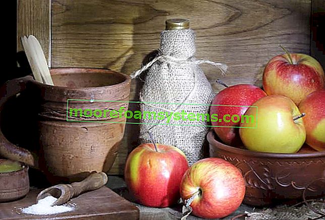 Ябълкова тинктура - най-добрите рецепти за ябълкова тинктура на спирт 2