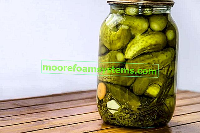 Nalivanje kumaric - preverjeni recepti za kisanje po korakih
