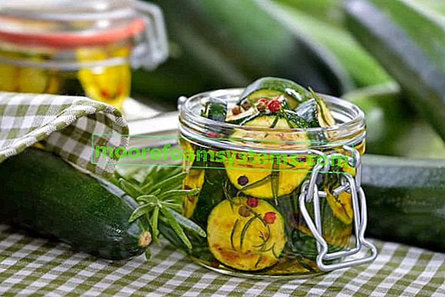 Zucchine per l'inverno - ricette per preparare deliziose conserve di zucchine per l'inverno