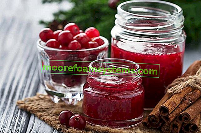 Cranberry-Marmelade - die besten Rezepte für Konfitüren, Marmeladen und Pflaumenmarmelade Schritt für Schritt