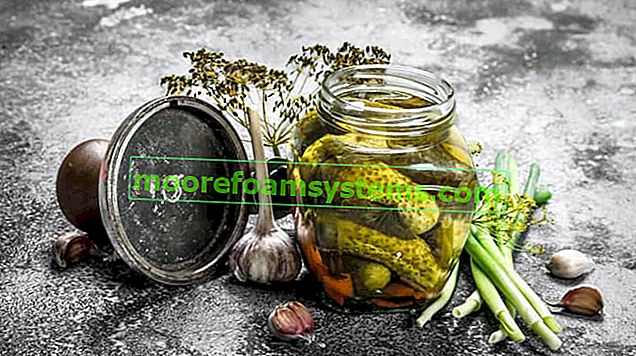 Conserve di cetrioli - ricette collaudate per conserve di cetrioli e mortai
