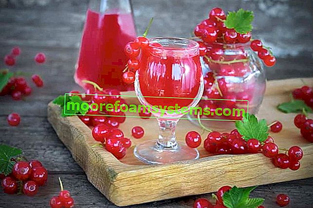 Teinture de groseille rouge dans des verres