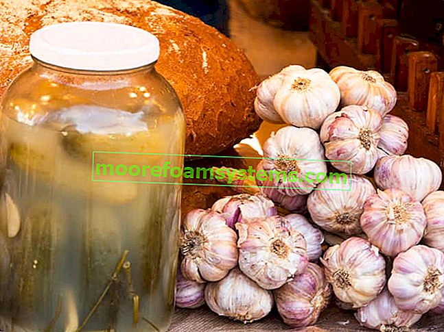 Jus de concombre mariné - avantages et propriétés de l'eau de concombre