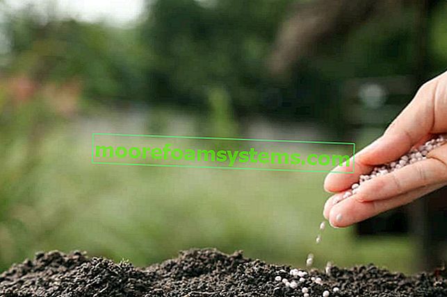 Postupné zlepšování půdy - jak hnojit půdu v ​​zahradě?