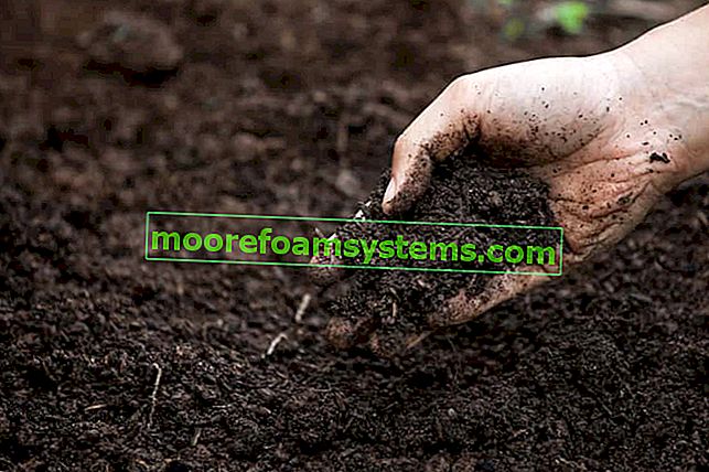 Подобряване на почвата стъпка по стъпка - как да наторя почвата в градината?