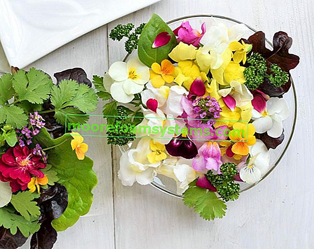 Ядливи цветни листенца на стъклен поднос, както и препоръчителни ядливи цветя в Полша