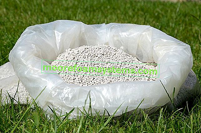 Амониев нитрат - най-популярният градински тор - състав, начин на употреба, дозировка 2