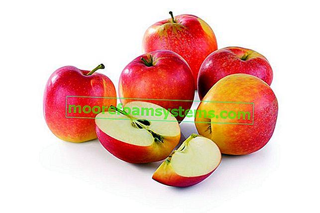 A legjobb almafajták Lengyelországban - a legnépszerűbb fajok áttekintése 2