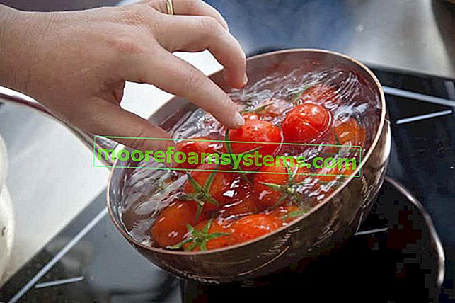 Comment brûler les tomates étape par étape?  Un guide pratique