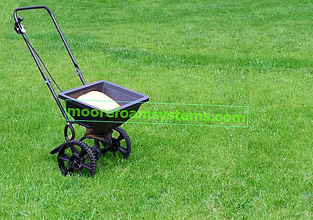 Торене на тревата с помощта на специално устройство и съвети за това какво да оплоди тревата и кога да го направите