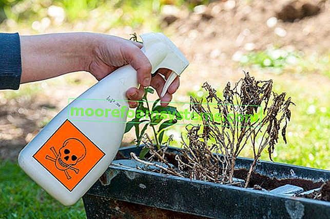 Herbicidy - populární herbicidy - druhy, aplikace, názory 2