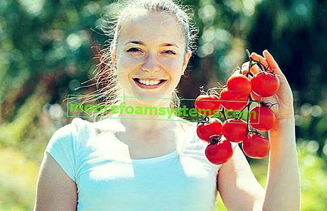 Lächelnde Frau mit einem Zweig Tomaten