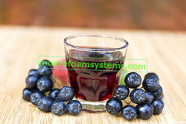 Черна арония - отглеждане, грижи, лечебни свойства на плодовете от арония 3