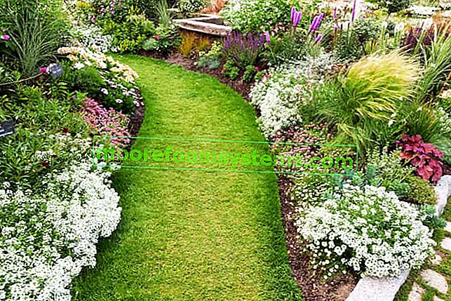 Ein wunderschön angelegter Garten mit Blumen