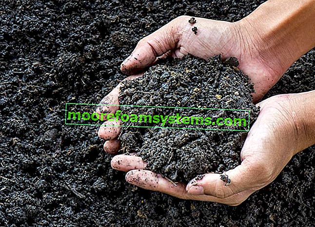 Hände mit einer Handvoll schwarzer Erde sowie Tipps zum Ansäuern des Bodens und zum Ansäuern des Bodens