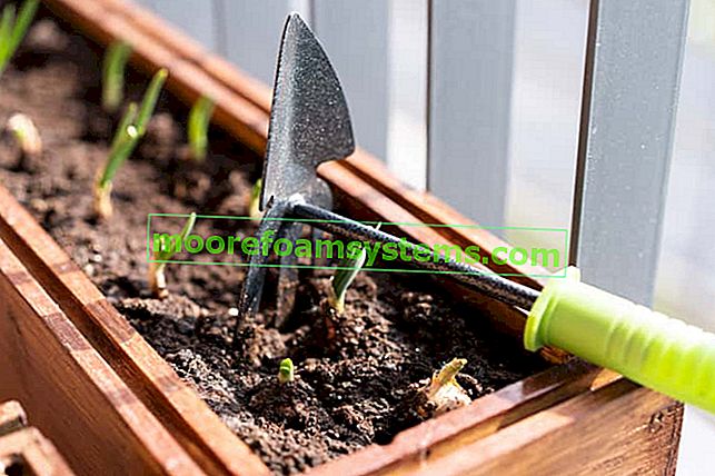 Zeleninová zahrada v bednách - jak zařídit zeleninovou zahradu v bednách?