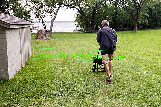 Un homme pendant le chaulage de la pelouse, ainsi que la désacidification de la pelouse et quand saupoudrer de chaux sur la pelouse